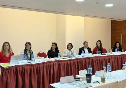 RO'A Holds a Strategy and Problem Analysis Workshop with FBA