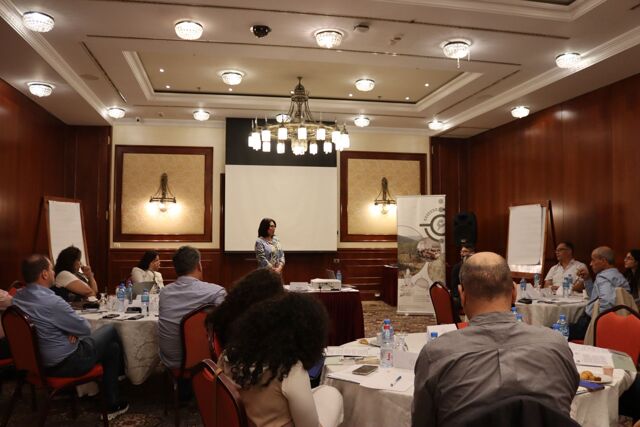 "Why It Worked" Workshop: Localization of the Toolkit